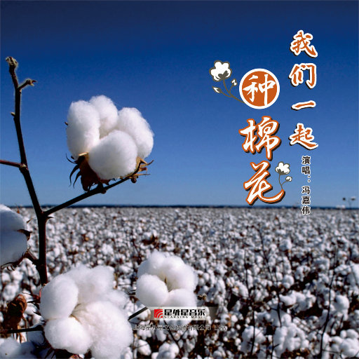 黑人胶配方的视频
